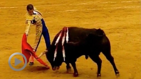 fallas-ponce-et-cesar-jimenez-coupent-une-oreille