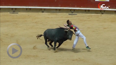 castellon-grand-concours-de-recortes-avec-les-toros-de-partido-de-resina