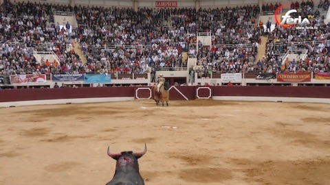 vic-toro-salta-cancela-de-los-manos