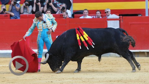 granada-oreille-pour-antonio-ferrera