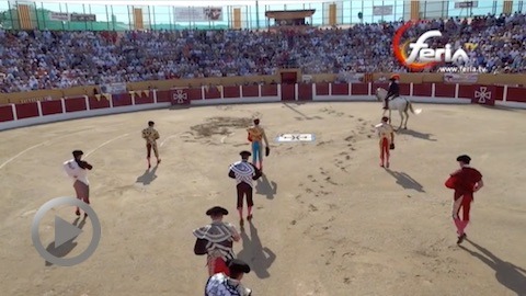 ceret-oreja-para-javier-cortes