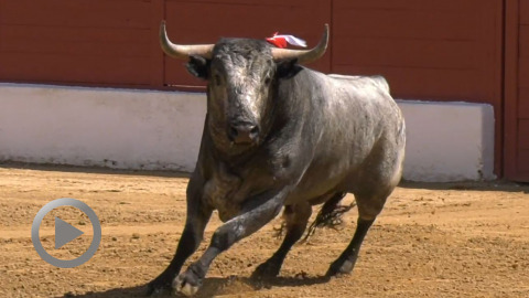 la-feria-del-aficionado