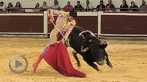 Solitaire oreille de Marco Pérez en ouverture de la Feria de Cali
