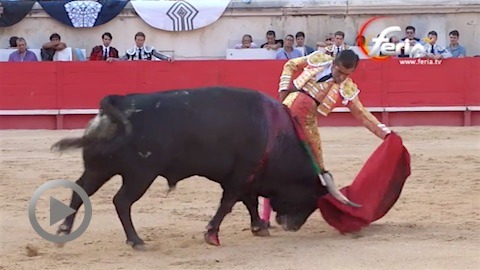 solitaire-oreille-de-joselito-adame-dune-decevante-corrida-de-virgen-maria