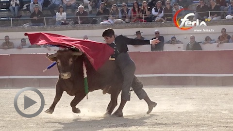 journee-taurine-de-beziers