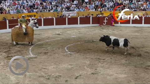 ceret-novillada-del-centenario-de-la-ganaderia-barcial