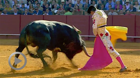 seville-digne-manuel-escribano-pour-son-encerrona-face-aux-miuras