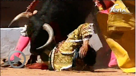 olivenza-susto-et-puerta-grande-pour-juanito-et-carlos-dominguez