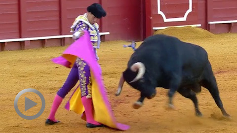 seville-manzanares-profite-du-meilleur-jandilla