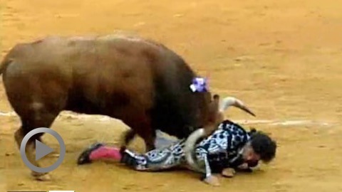 Fallas. Susto y vuelta para Miguel Abellan