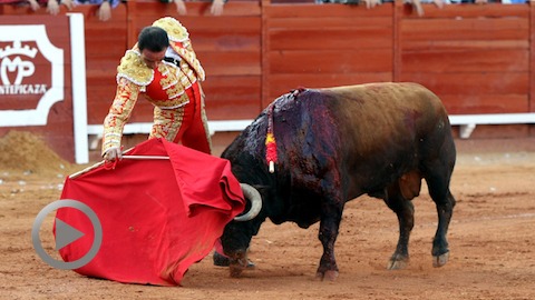 algeciras-oreille-pour-enrique-ponce