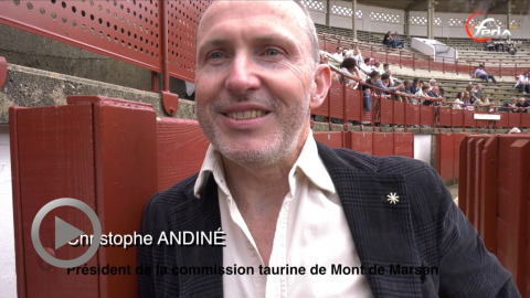 les-cartels-de-la-madeleine-de-mont-de-marsan