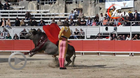 bonne-corrida-de-la-quinta-juan-leal-a-hombros-et-oreille-pour-clemente