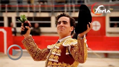 saint-martin-de-crau-solitaire-oreille-pour-joaquin-galdos