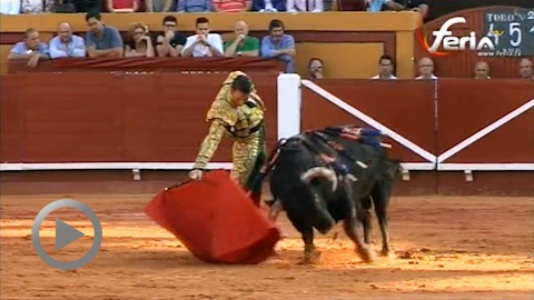 algeciras-oreille-pour-padilla