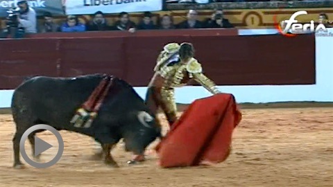 olivenza-triomphe-du-juli