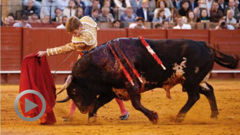 seville-borja-jimenez-deux-oreilles-pour-la-route