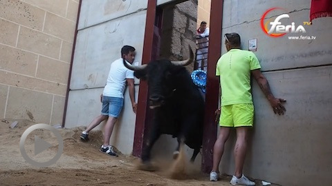 Coria. Fiestas de San Juan 2022