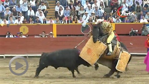 acho-oreille-pour-urena-et-galdos