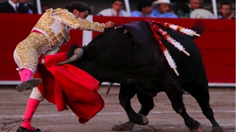 joselito-adame-et-aguilar-a-hombros