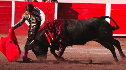 aguascalientes-michelito-mirafuente-lopez