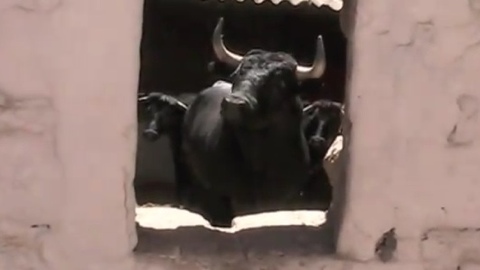 mexique-final-de-feria-a-autlan