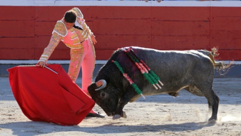 azpeitia-corrida-de-escolar-gil
