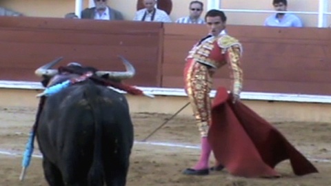 bayonne-oreille-pour-luque-et-tejela