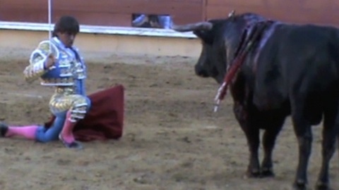 bayonne-oreille-pour-miguel-tendero