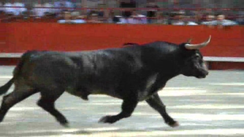 triomphe-de-alberto-aguilar