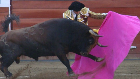 cali-indulto-de-balsero-par-el-juli