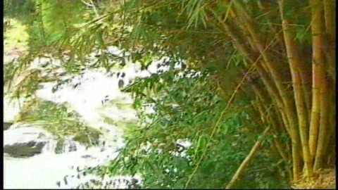 cali-et-la-region-de-pance