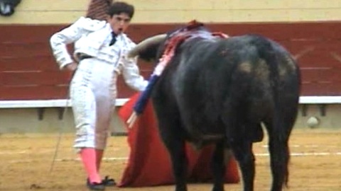 une-oreille-por-coleta-a-castellon