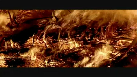 fiestas-en-castellon