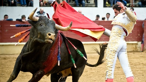 dufau-sort-de-sa-coquilla