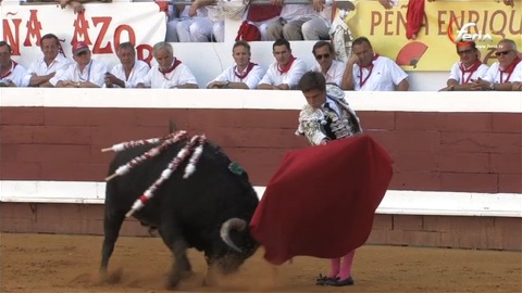 dax-corrida-du-pilar