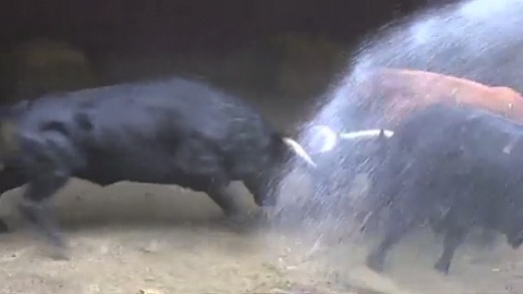 aire-debarquement-des-baltasar-iban