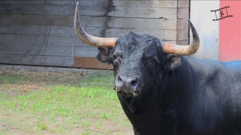 debarquement-des-fernandes-de-castro