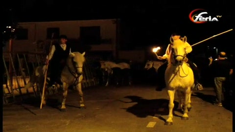 defile-de-la-vierge-de-vauvert