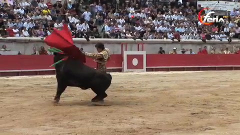 antonio-barrera-triomphe
