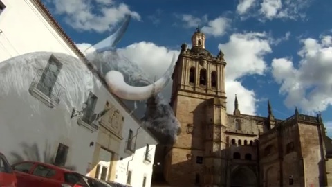 fiestas-de-san-juan-coria