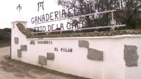 campo-les-toros-du-pilar-pour-dax