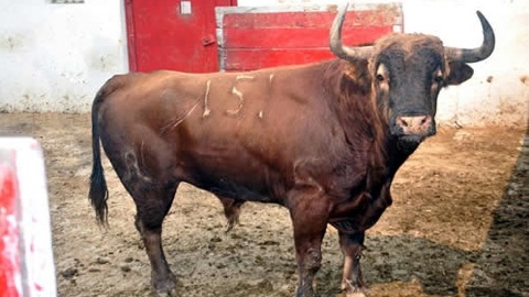 embarquement-barralva-pour-mexico