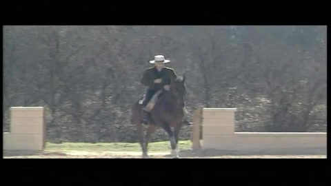 olivier-boutaud-cavalier-francais