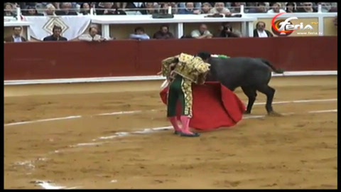 lescarret-coupe-une-oreille