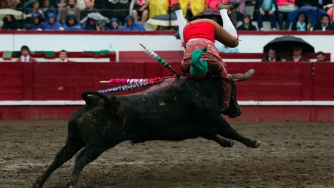 la-pluie-fait-des-claquettes