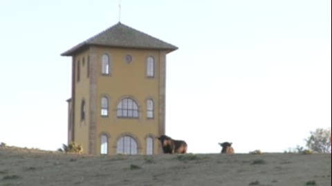 campo-visite-chez-fermin-bohorquez