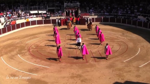 garlin-la-goyesque-du-bicentenaire