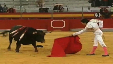 bautista-gallo-yiyo-et-les-buenavista