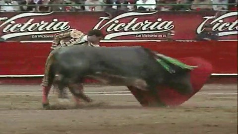 guadalajara-el-juli-castella-el-conde